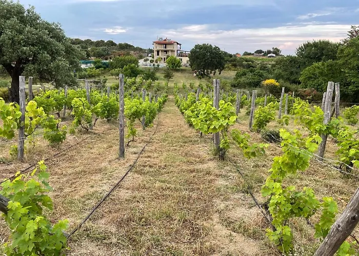 别墅 Astri 伊里斯斯