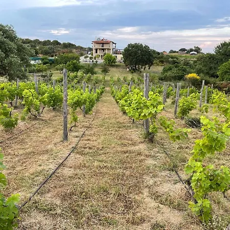 Villa Astri Ierissos